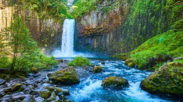 stock image Majestic Abiqua Falls cascades into a serene river in Oregons lush wilderness, framed by moss-covered cliffs and basalt columns. Perfect for travel, conservation, and nature-themed projects.