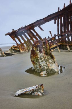 Hammond, Oregon 'un kumlu kıyılarındaki Peter Iredale gemi enkazının paslı kalıntıları. Bulutlu gökyüzü ve kabuklu kirişler doğanın tarihi geri alma duygusunu çağrıştırıyor..