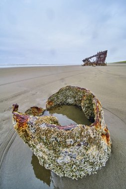 Abandoned shipwreck of the Peter Iredale on a vast Oregon beach. Rusted artifact covered in barnacles in the foreground under an overcast sky. A poignant reminder of natures power over human endeavors clipart