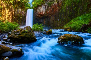 Oregon 'daki Majestic Abiqua Şelalesi yemyeşil bir ormanla çevrili canlı bir nehre dökülüyor. Yumuşak sabah ya da geç öğleden sonra ışığı bu el değmemiş manzaranın dingin güzelliğini vurgular.