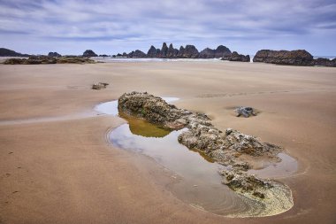 Seal Rock, Oregon 'daki sakin plaj engin kumlu sahili, engebeli kaya oluşumları ve barışçıl Tidepool' larıyla sükuneti yakalar. Seyahat, doğa ve refah temaları için ideal.