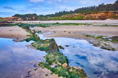 Altın saat boyunca Seal Rock 'ın sakin Oregon kıyılarında. Yosun kaplı kayalar, gökyüzünü yansıtan gelgit havuzlarına yol açar. Huzurlu, el değmemiş doğa seyahat, sağlık ve...