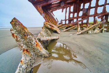 Oregon 'da terkedilmiş Hammond plajındaki Peter Iredale enkazı. Paslanmış metal ve kaya midyesi kabukları, çarpıcı detaylarla yakalanan gücü geri alan zaman ve doğanın hikayesini anlatır..