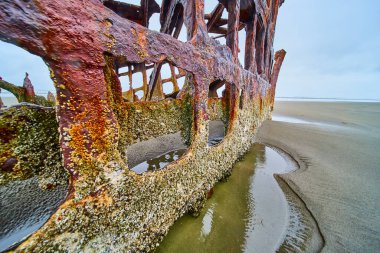Hammond Sahili, Oregon 'daki Peter Iredale' in paslı gemi enkazı. Gemiler, pürüzsüz ve yansıtıcı kumla metali ve canlı liken kontrastını aşındırdı. Tarih, doğa ve çürümenin kasvetli bir sahnesi..