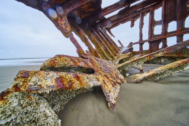 Oregon Hammond Sahili 'ndeki Peter Iredale gemi enkazının paslı kalıntıları. Çürüyen demir kirişler ve midyeler, zamanın ve doğanın geçişini yakalayan sakin kıyı manzarasıyla tezat oluşturuyor.