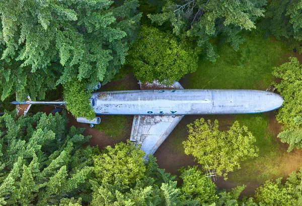 Yoğun Oregon ormanlarıyla çevrili terk edilmiş bir uçak, yukarıdan görülüyor. Doğa uçağı geri alır ve çürüyen metal ile canlı yeşillik arasında çarpıcı bir kontrast yaratır. Büyüleyici hava görüntüsü.