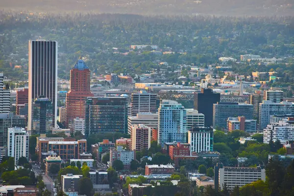Pittock Malikanesi 'nden Portland' a altın saat, modern gökdelenleri, geleneksel binaları ve yemyeşil zeminini uzak Oregon tepelerine karşı canlı bir şehir manzarası yakalıyor.