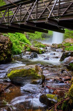 Serene orman deresi, Oregon 'daki Columbia Vadisi' ndeki Latourell Falls 'ta yemyeşil yemyeşil bir köprünün altından akar. Bu huzurlu ortamda doğanın ve insan mühendisliğinin ahenkli karışımını deneyimleyin.