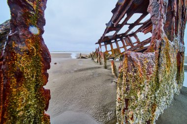 Hammond, Oregon 'da sakin bir kumsalda, Peter Iredale' in gemi enkazının paslı kalıntıları. Doğa yıpranmış tekneyi geri alır, dramatik bir terk etme sahnesi yaratır ve zaman geçer..