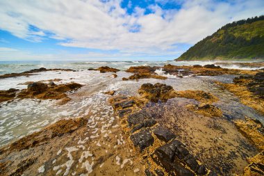 Oregon, Yachat 'taki Thors Kuyusu' nun engebeli kıyı şeridi. Altın midye kaplı kayalar açık mavi bir gökyüzünün altında dalgaların çarpmasına yol açar. Doğanın gücünü ve sükunetini bu uzak Pasifik cevherinde tecrübe edin..