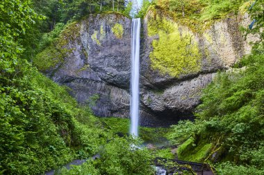 Majestic Latourell Falls, Oregon 'daki Columbia Vadisi' nde yosun kaplı bir uçurumdan aşağı yuvarlanıyor. Bereketli yeşilliklerle çevrili bu sakin ortam, el değmemiş doğaya huzurlu bir kaçış sunuyor. Tam oldu.