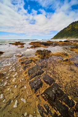 Thors Well, Yachat, Oregon 'da dinamik kıyı sahnesi. Yıpranmış kayalar ufka çıkar. Deniz dalgaları ve köpüklü su çevresi, arka planda ağaçlık bir tepe. Seyahat veya doğa için mükemmel.