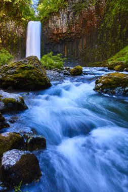 Oregon 'daki Majestic Abiqua Şelalesi yosunlu kayalıkların üzerinden sakin bir nehre atlıyor ve uzun süre hayallere açık bir çekimde yakalanıyor. Doğa, koruma ve açık hava macerası için mükemmel bir tema..