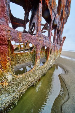 Hammond, Oregon 'da ıssız bir sahilde, Peter Iredale' in paslı gemi enkazı. Barnacle-kabuklu çelik çerçeveler ve kumlu kıyılar kasvetli, bulutlu bir ortamda çürüme ve doğal ıslah temaları tasvir ediyor.