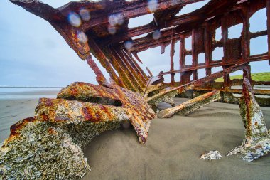 Oregon Hammond Sahili 'ndeki Peter Iredale gemi enkazının paslı kalıntıları. Aşınmış yapı, kasvetli bir gökyüzü ve ıssız kumlar tarafından çerçevelenmiş zamanın geçişinin bir kanıtı olarak duruyor..