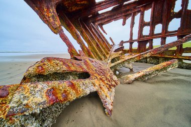 Hammond, Oregon 'da kumlu bir sahilde, Peter Iredale' in enkazından geriye kalan paslı kalıntılar. Aşınmış yapı doğayla harmanlanır, çürüme, tarih ve Batı Yakası 'ndaki zamanın akışını hatırlatır.