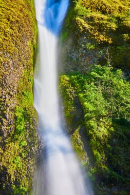 Serene şelalesi, Oregon 'daki Atkuyruğu Şelalesi' ndeki Columbia Vadisi 'nde yosun kaplı kayalık bir uçurumdan aşağı yuvarlanıyor. İpeksi, pürüzsüz bir su efekti yaratmak için uzun pozlama tekniğiyle yakalandı. Doğa böyle.