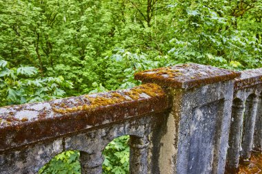 Kolombiya Vadisi, Oregon 'daki Latourell Falls' un yemyeşil ormanına bakan antik yosun kaplı taş balyumu. Sisli bir sabahta huzur ve tarihi yakalamak, seyahat için mükemmel.