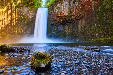 Oregon 'daki Serene Abiqua Şelalesi, yosun kaplı bazalt sütunlar tarafından çerçevelenmiş ve yumuşak güneş ışığıyla yıkanmış, sakin bir nehre dökülüyor. Canlı yosunlarla kaplanmış bir kaya bu nefes kesici doğal çapa