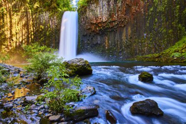 Scotts Mills, Oregon 'da nefes kesici Abiqua Şelaleleri yosunlu bazalt kayalıklarının üzerinden temiz ve akan bir nehre iniyor. Yeşillik ve canlı sahne onu doğanın mükemmel bir temsili yapıyor.