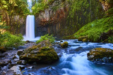 Oregon 'daki Majestic Abiqua Şelalesi yemyeşil ve yosun kaplı kayalıklarla çevrili berrak bir nehre dökülüyor. Huzurlu ve canlı doğal bir manzara. Gücünü ve sükunetini gösteriyor.