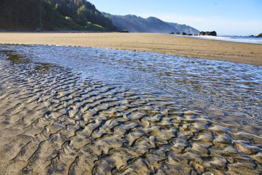 Dalgalanan kum, Samuel H. Boardman State Sahne Koridoru, Brookings, Oregon 'daki Whaleshead Plajı' nda yemyeşil, ormanlı tepelerle buluşur. Berrak bir gökyüzü altında huzurlu bir sahil güzelliği, doğa ve seyahat için mükemmel.