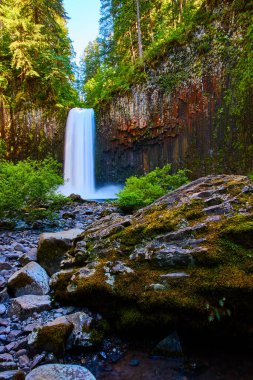 Oregon, ABD 'deki Abiqua Şelalesi' nin büyüsü yemyeşil ormanlarla çevrili sakin bir havuza akıyor. Engebeli kayalıklar ve yosun kaplı kayalar bu uzak yabanın huzur veren güzelliğini artırıyor.