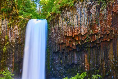 Majestic Abiqua Şelalesi engebeli bazalt kayalıklarından kayarak Oregonlar 'daki yemyeşil yemlikler tarafından çerçevelenmiş sakin bir havza haline gelir. Seyahat, doğa ve koruma temaları için mükemmel.