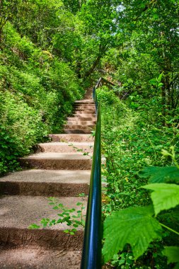 Concrete steps wind through lush greenery at Bridal Veil Falls in Oregons Columbia Gorge. Sunlight filters through the canopy, inviting exploration and tranquility. Perfect for travel and nature clipart