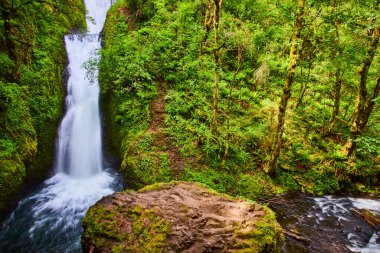 Majestic Bridal Veil Falls, Oregons Columbia Boğazı 'nda yemyeşil bir ormanla çevrili sakin bir nehre dökülüyor. Bu ılıman yabanın sakin güzelliğini ve el değmemiş vahşiliğini hisset.