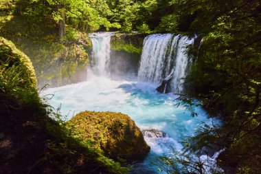 Columbia Vadisi, Washington 'da nefes kesen Spirit Falls: Bereketli orman ve kayalık uçurumlarla çevrili sakin bir havuza canlı gök mavisi çağlayan şelaleler, seyahat için mükemmel bir doğal kaçış sağlar.