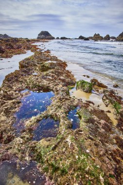Seal Rock, Oregon 'da canlı bir sahil sahnesi. Renkli Tidepool' lar ve deniz yaşamı var. Engebeli kıyı şeridi ve dinamik dalgalar Batı Kıyısı 'nın dingin ama güçlü özünü yakalıyor.