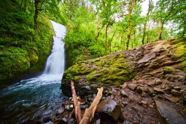 Serene Bridal Veil Falls, Oregon, Columbia Vadisi 'ndeki yemyeşil kayalık bir havuza dökülüyor. Yosunlarla kaplı kayalar ve sık orman sakin, el değmemiş doğal bir manzara yaratıyor.