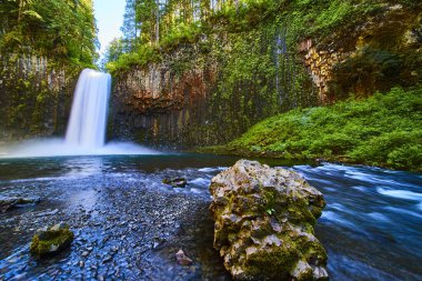Majestic Abiqua Şelalesi, Oregonlar 'ın gür ormanlarındaki sakin bir nehre dökülerek seyahat, turizm ve açık hava macera temaları için mükemmel bir doğal manzara sunuyor. Keşfedin güzelliği