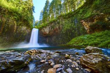 Oregon 'daki Majestic Abiqua Şelalesi bereketli uçurumlar ve sık ormanlarla çevrili sakin bir havuza daldı. Güneş ışığı sisi aydınlatır ve doğa meraklıları için mükemmel bir sükunet ortamı yaratır.