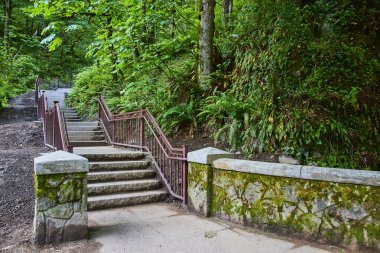 Latourell Falls, Columbia Vadisi 'ndeki yemyeşil yeşil merdiveni keşfedin. Yosun kaplı patika ve metal korkuluklar sizi Oregonlar arasında sakin bir yolculuğa davet ediyor.