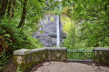 Latourell Falls 'un, Oregon, Columbia Vadisi' nin yemyeşil yeşilliğinin ortasındaki engebeli bir uçurumdan aşağı yuvarlanışının nefes kesici görüntüsü. Yosun kaplı bir taş platform doğa aşıkları için mükemmel bir yer sunar.