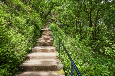 Ascend through the lush greenery of Columbia Gorge, Oregon. This serene trail near Bridal Veil Falls invites you to explore natures beauty, bask in dappled sunlight, and embrace a tranquil hiking clipart