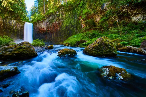 stock image Majestic Abiqua Falls cascades into a misty river surrounded by lush greenery and rugged cliffs in Scotts Mills, Oregon. This serene natural landscape invites tranquility and wonder in the wilderness.