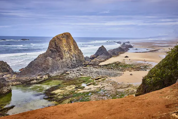 stock image Serene midday view of Oregons Seal Rock coastline. Rugged rock formations, tidal pools, and sandy patches with greenery create a breathtaking natural landscape perfect for travel and outdoor