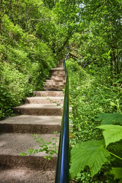 stock image Concrete steps wind through lush greenery at Bridal Veil Falls in Oregons Columbia Gorge. Sunlight filters through the canopy, inviting exploration and tranquility. Perfect for travel and nature