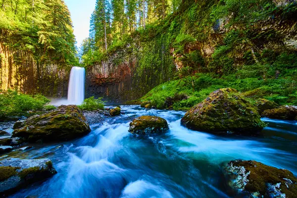 Scotts Mills, Oregon 'daki Abiqua Şelalesi, Kuzeybatı Pasifik' in göbeğindeki yemyeşil, yosun kaplı kayalıklarla çevrili nefes kesici bir şelale. Bu tenha yerin dingin ve el değmemiş güzelliğini hisset.