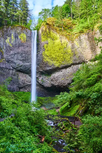 stock image Majestic Latourell Falls cascades down a rugged cliff into a lush valley in the Columbia Gorge, Oregon. The powerful waterfall contrasts with verdant foliage, creating a serene and breathtaking