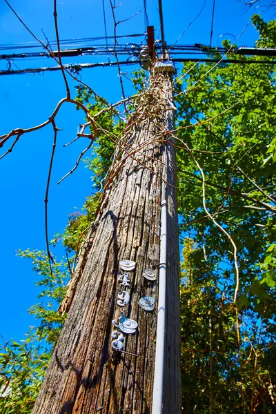 stock image A weathered utility pole in downtown Portland, Oregon, stands tall with a web of communication lines against a vivid blue sky. This rustic scene highlights the blend of technology and nature in a