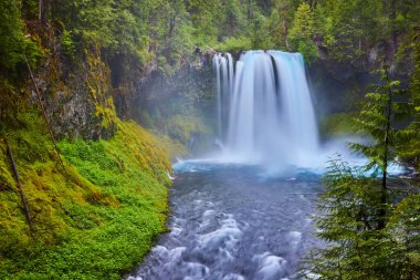 Majestic Koosah Şelaleleri McKenzie Nehri 'ne dökülüyor, Oregon yeşilliği tarafından çerçeveleniyor. Huzurlu, ılıman bir yağmur ormanında yakalanan bu el değmemiş sahne ham gücü ve huzuru simgeler.