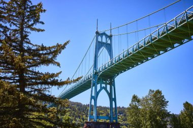 Portland, Oregon 'daki St. Johns Köprüsü açık mavi gökyüzünün altında dimdik duruyor. Gotik-tarzı kuleler ve yeşil kirişler sonsuz yeşil ağaçlarla çok güzel tezat oluşturuyor, kentsel doğa uyumu ve...