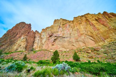 Oregon 'daki Smith Rock State Park' ın göz kamaştırıcı manzarası, açık mavi gökyüzüne karşı kırmızı renkli engebeli bir yamaç. Bereketli bitki örtüsü bu çorak araziye derinlik katıyor, doğayı gözler önüne seriyor.