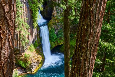 Clearwater, Oregon 'daki Majestic Toketee Falls engebeli uçurumlar ve yemyeşil ağaçlarla çevrili sakin bir havuza dökülüyor. Sakin, el değmemiş doğal bir güzellik. Mükemmel.