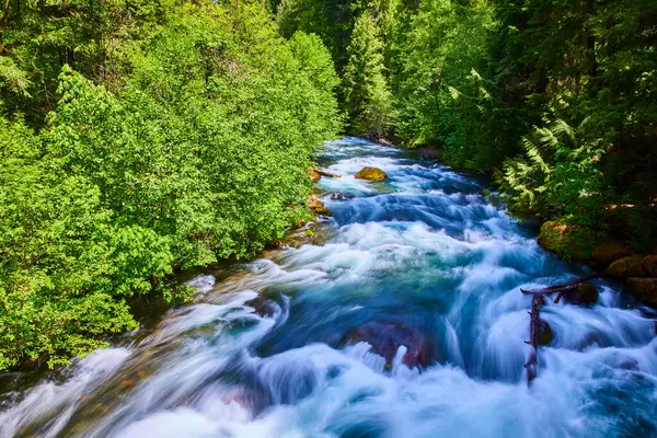 stock image Vibrant river flowing through a lush forest in Idleyld Park, Oregon. Captured at Umpqua Hot Springs, this dynamic scene showcases natures raw power and serenity, perfect for environmental and travel