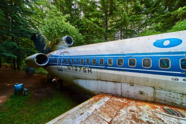 Portland yakınlarındaki Oregon ormanında terk edilmiş bir jet N725SH. Paslı, soluk mavi ve beyaz uçak, insan yapımı yapıların geri dönüşümünü sembolize eden canlı yeşillikle çelişiyor..